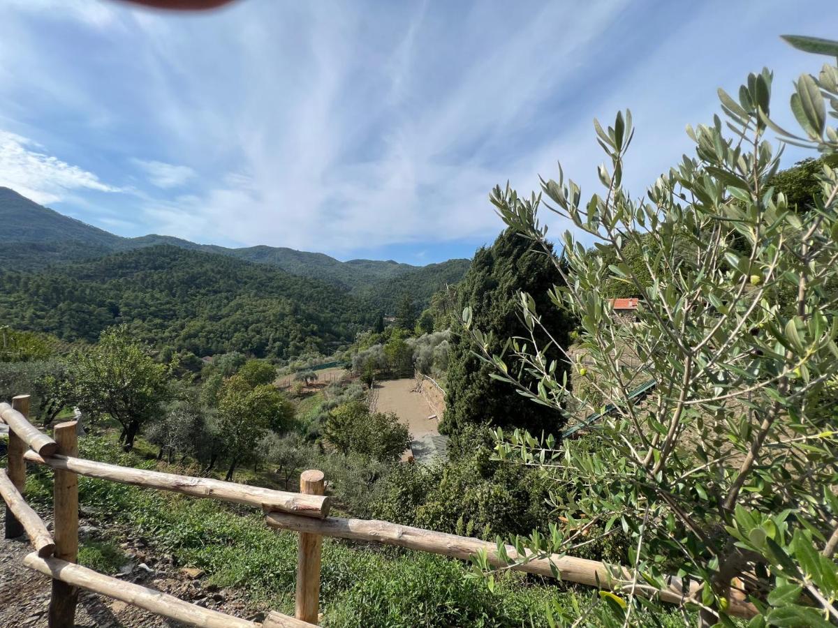Agriturismo Torsivi Castiglione Chiavarese ภายนอก รูปภาพ