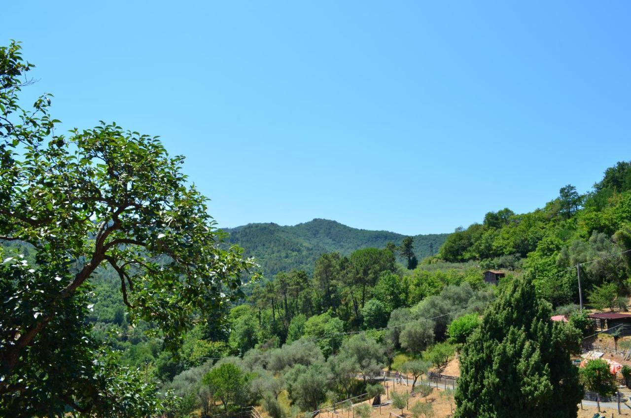Agriturismo Torsivi Castiglione Chiavarese ภายนอก รูปภาพ